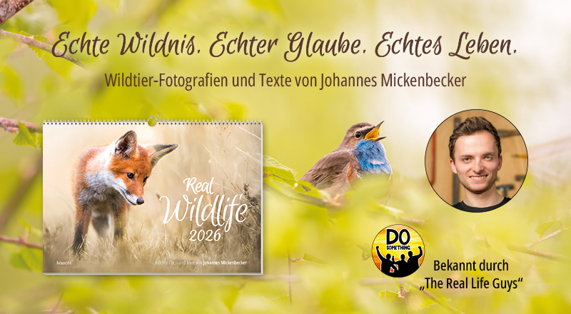 Banner mit dem Titel "Echte Wildnis. Echter Glaube. Echte Leben." zeigt einen Kalender mit Tierfotografie und enthält Informationen über Johannes Mickenbecker.