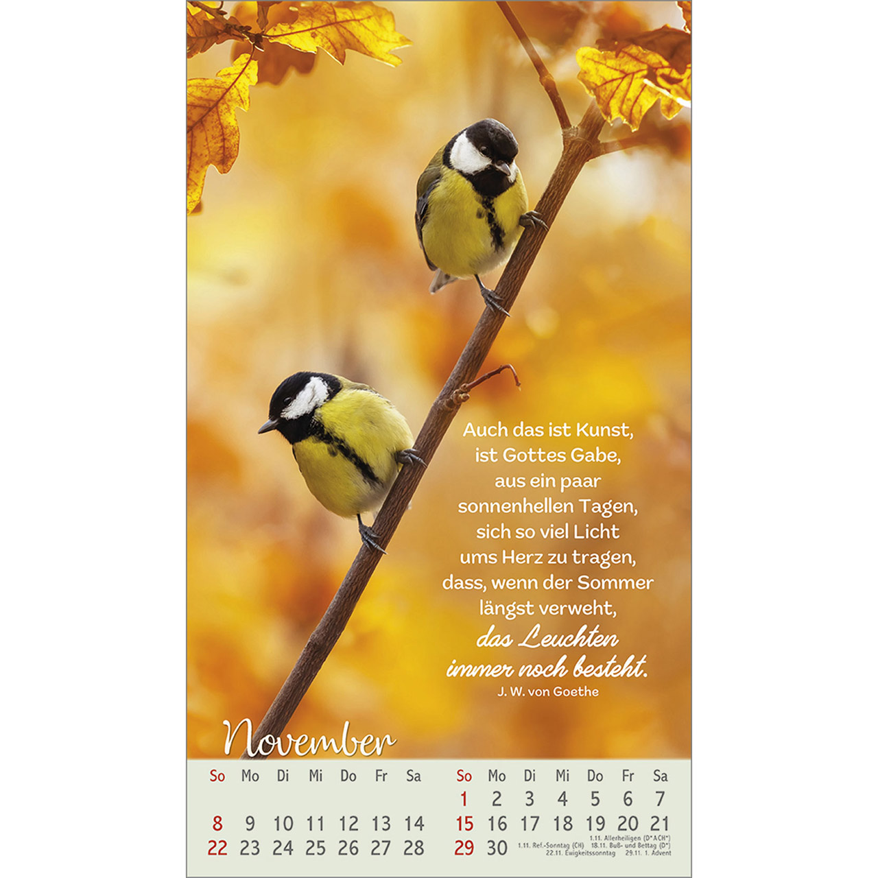 Postkartenkalender - Beflügelt und geborgen 2026