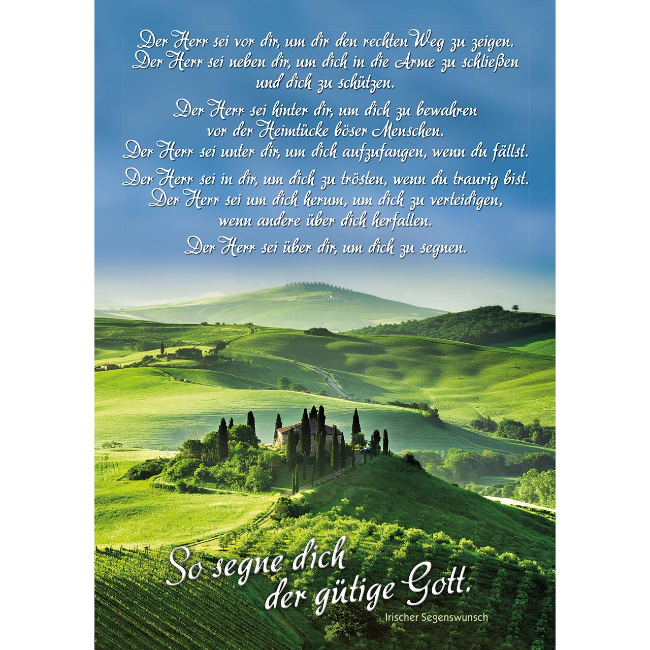 Postkarten-Buch - Ruh dich aus am Herzen Gottes - Lavendelfeld Baum Wolken