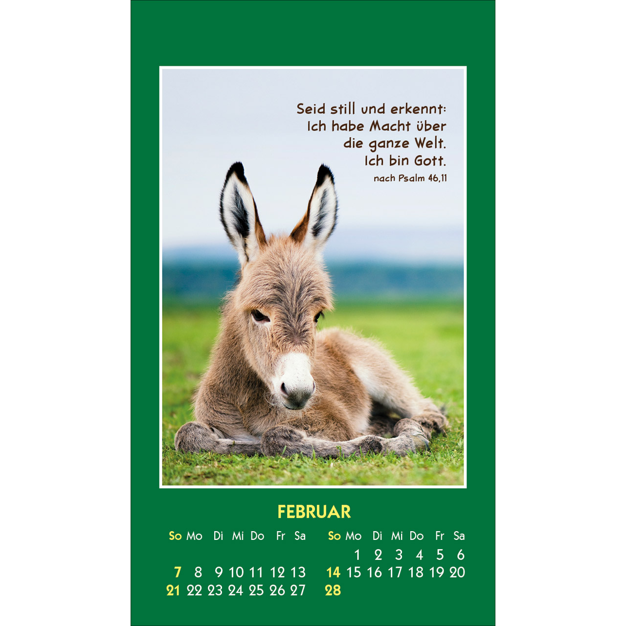 Aufkleberkalender - Hallo Du 2027