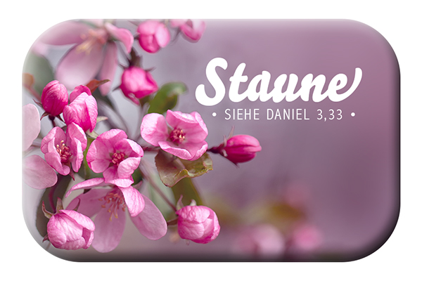 Magnet - Magnet 'Staune' Siehe Daniel 3,33