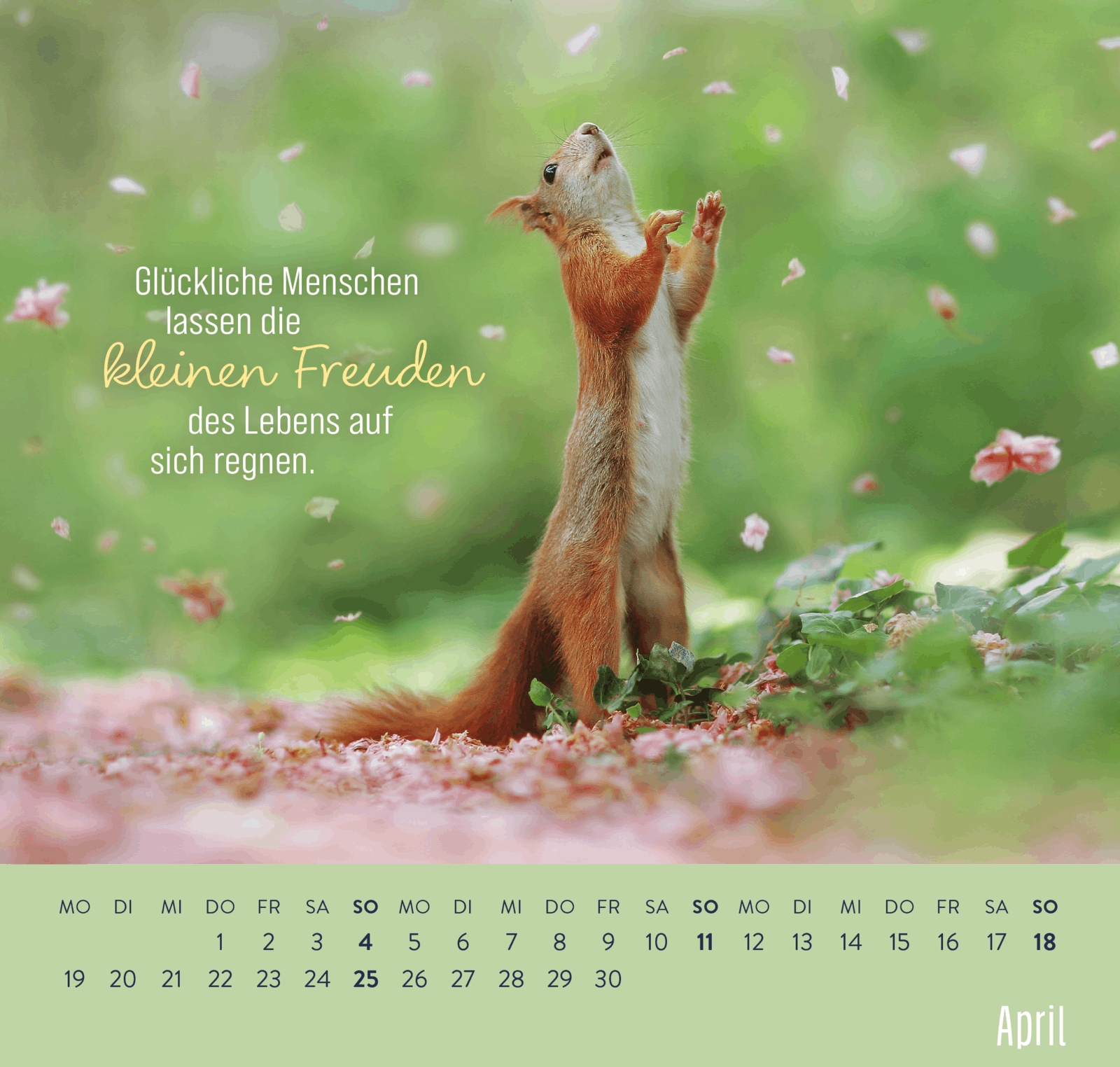 Wandkalender - Kleine Glücksbringer für dein Jahr 2027