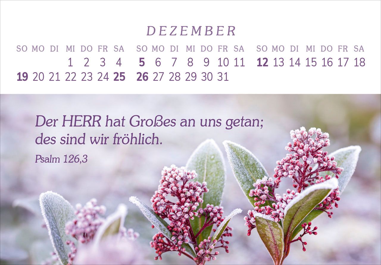 Panoramakalender - Das Geschenk der Freude 2027