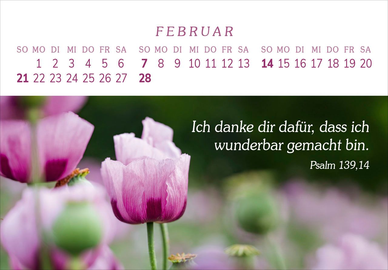 Panoramakalender - Das Geschenk der Freude 2027