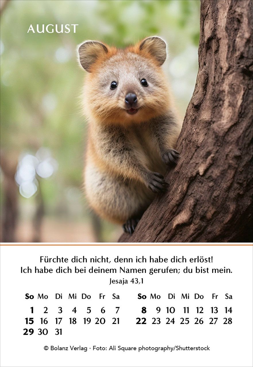 Aufstellkalender - Ein Jahr der Geborgenheit 2027