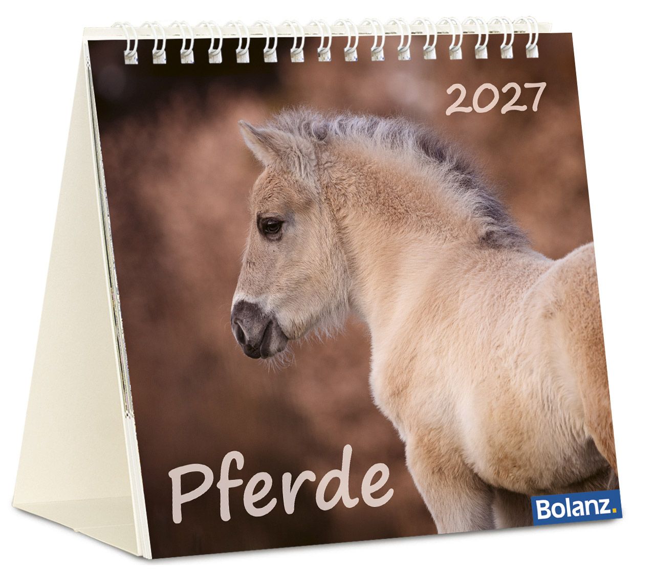 Tischkalender - Pferde 2027