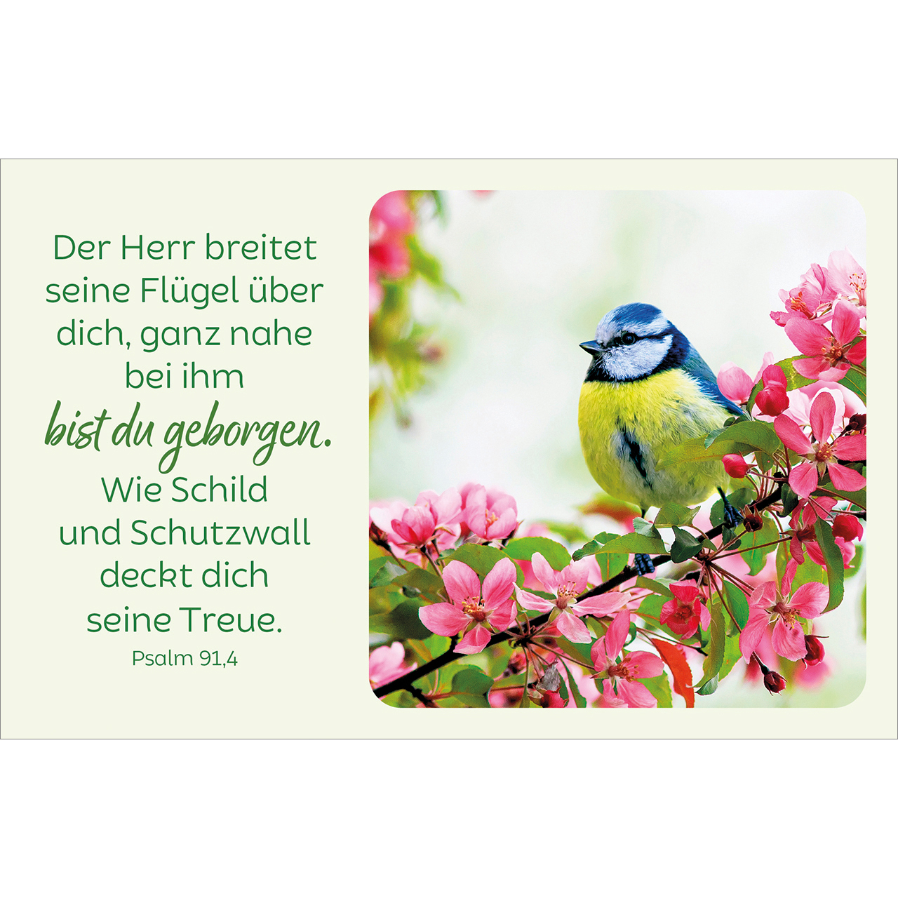 Karten-Box Kunststoff - Blütenreiche Bibelverse - Sonnenblumen