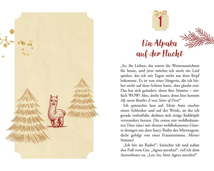Buch - Vier Alpakas und ein Weihnachten