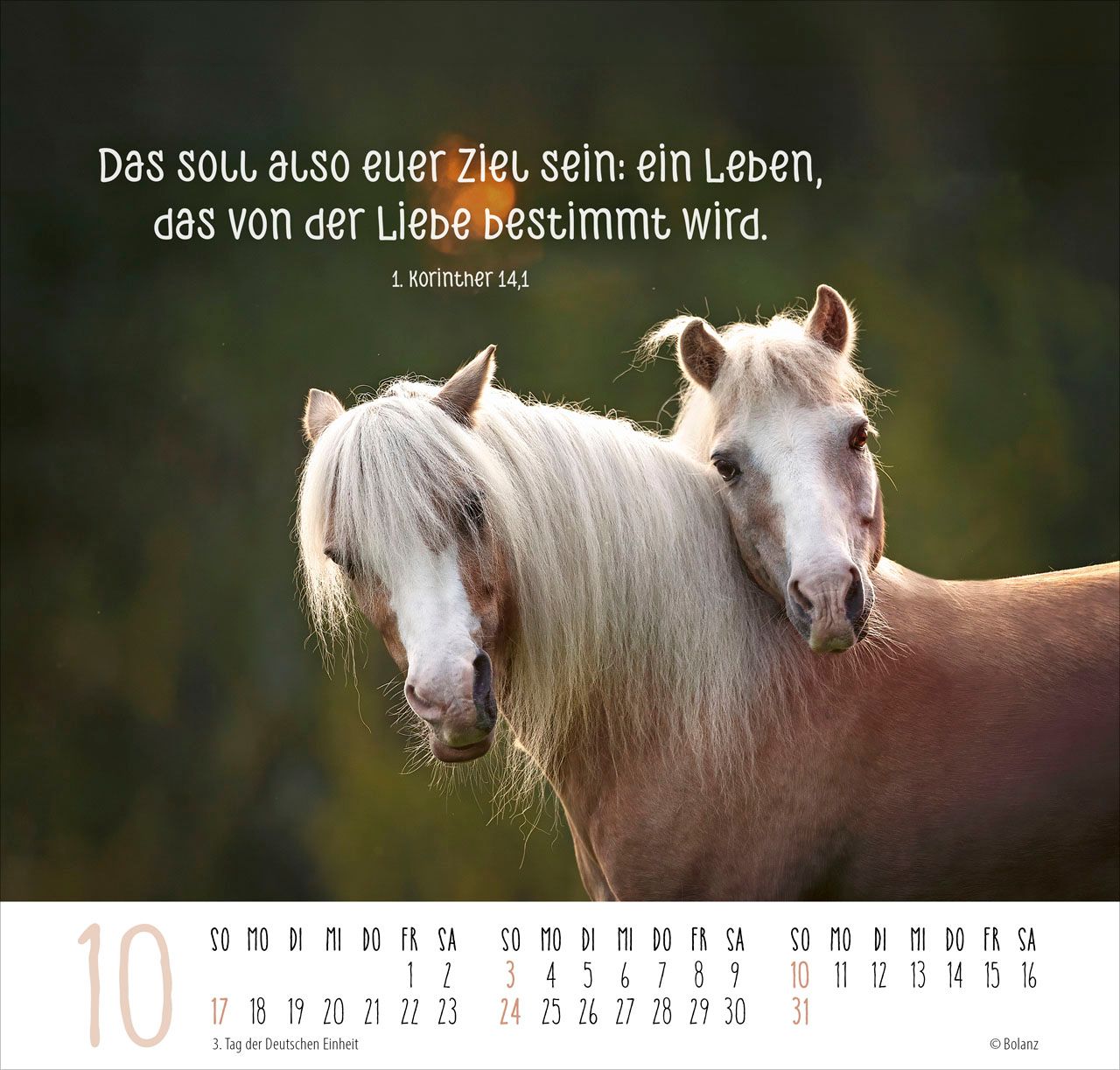 Posterkalender - Beste Freunde 2027
