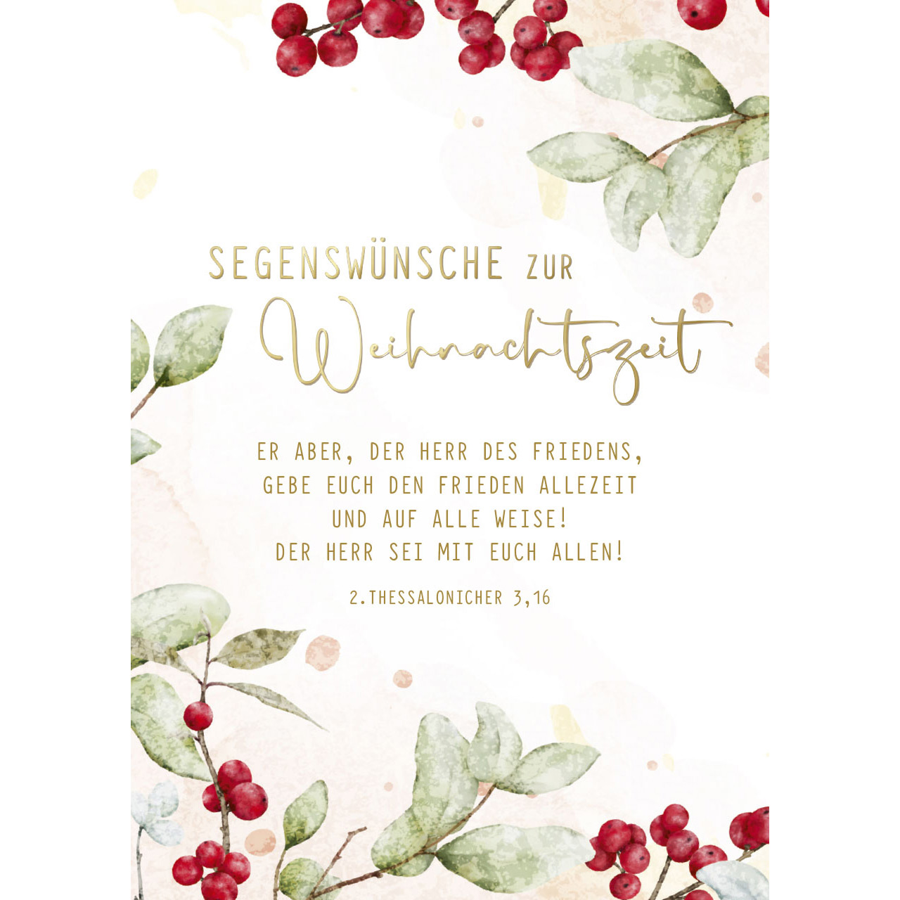 Postkarte 'Segenwünsche zur Weihnachtszeit' 12x             Motiv: rote Beeren