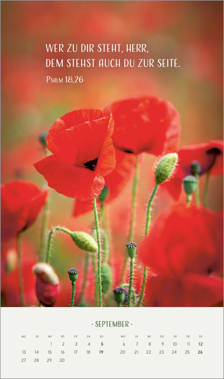 Posterkalender - Zarte Blumengrüße 2027 Posterkalender