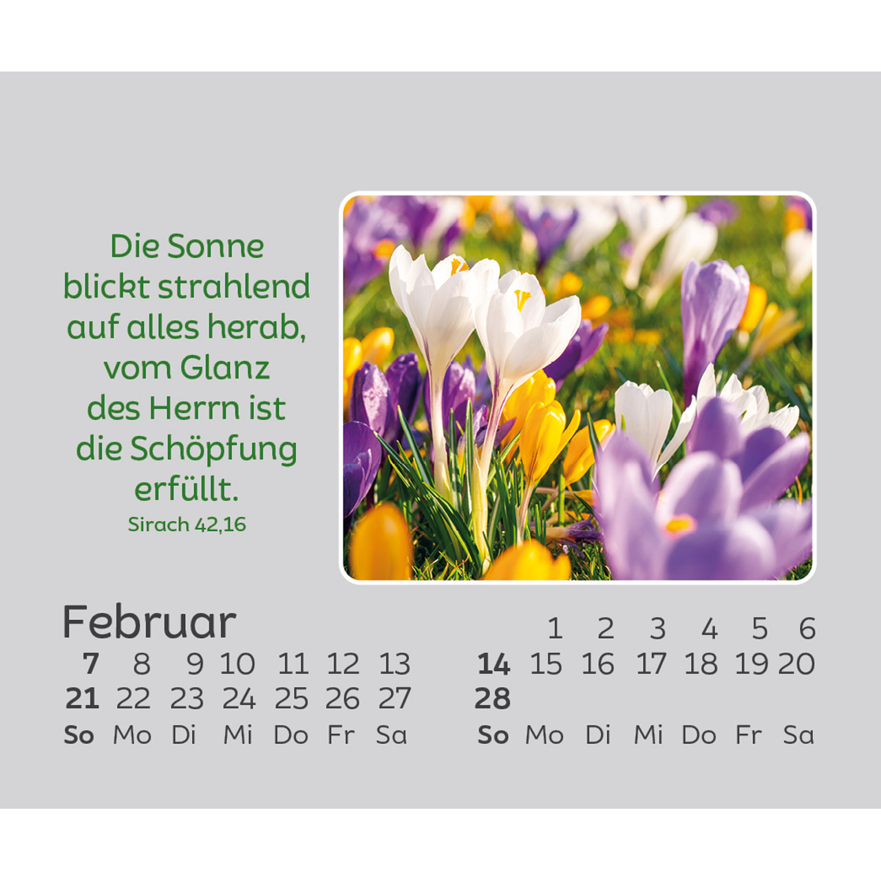 Aufstellkalender - Freude für jeden Tag 2027
