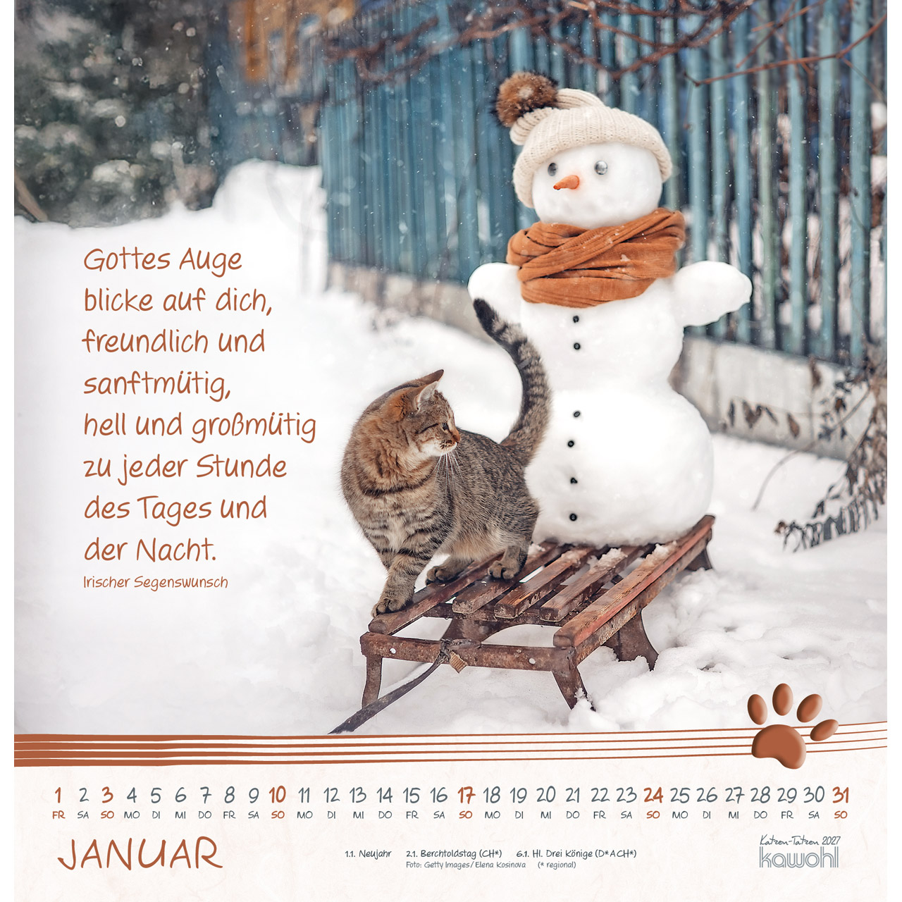 Wandkalender - Katzen-Tatzen 2027