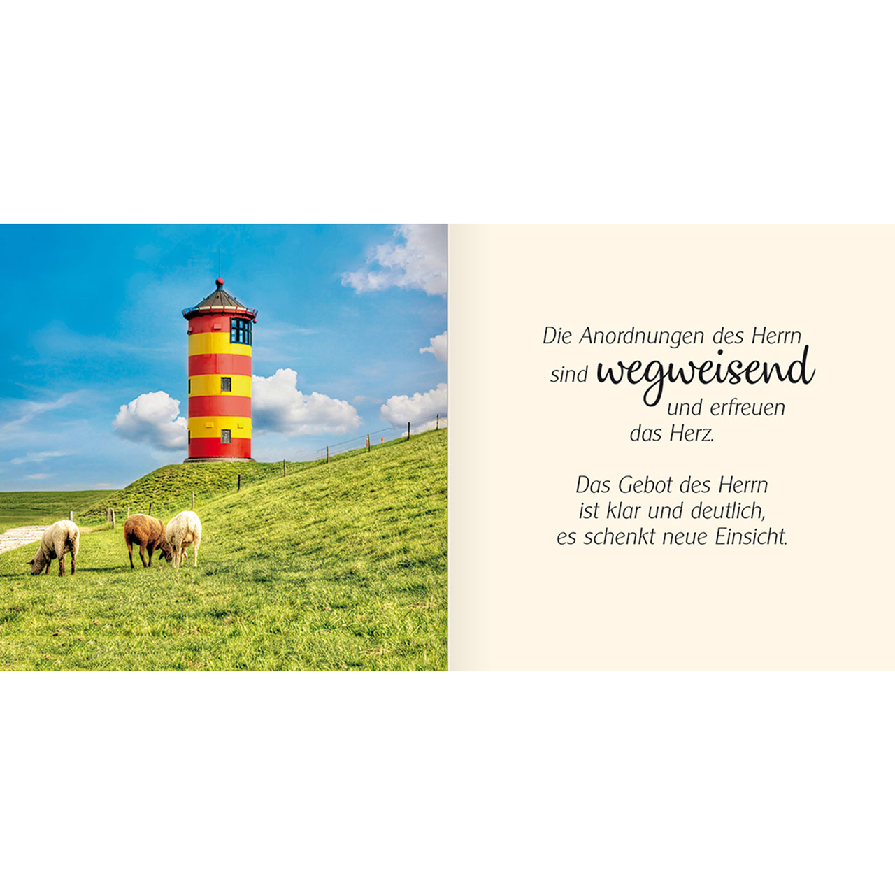 Geschenkbuch - Ich schenke dir Psalm 19 - Berge Panorama Blumenwiese Krokusse