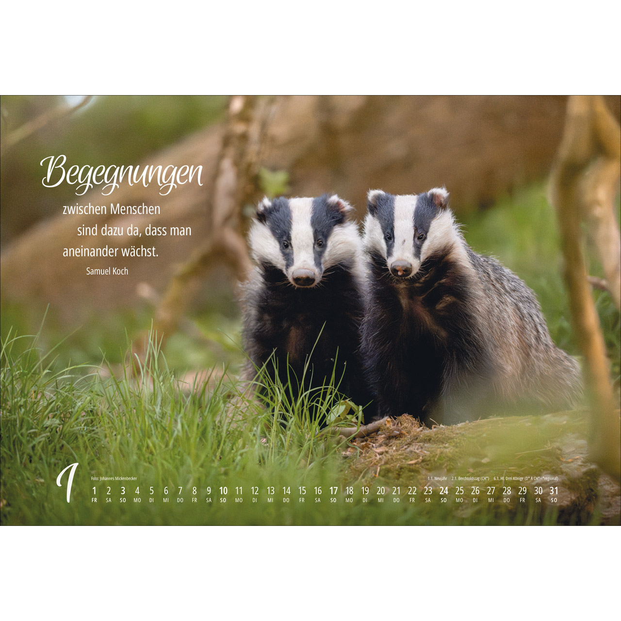Wandkalender - Real Wildlife 2027