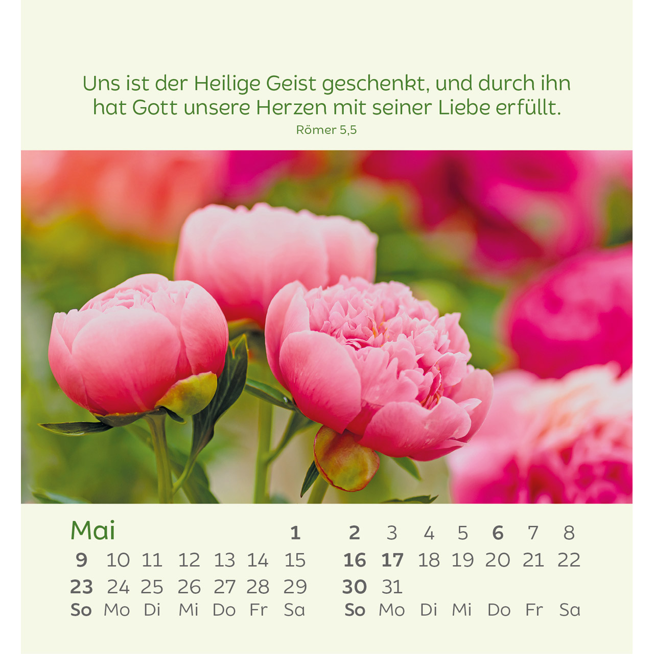 Aufstellkalender - Kleine Blumengrüße 2027