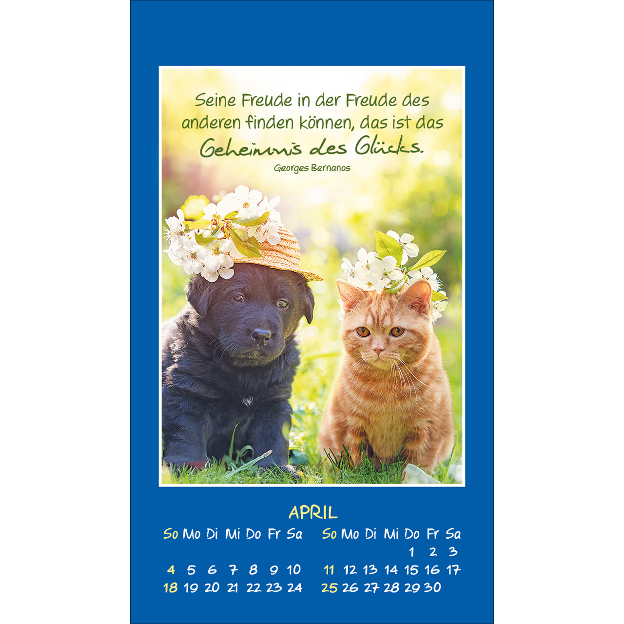 Aufkleberkalender - Mini Katzen-Tatzen 2027 - Katzen