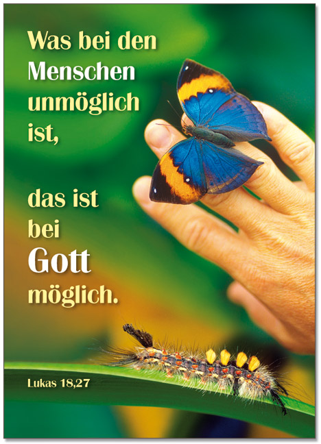 Poster - Was bei den Menschen unmöglich ist - Raupe Schmetterling Hand