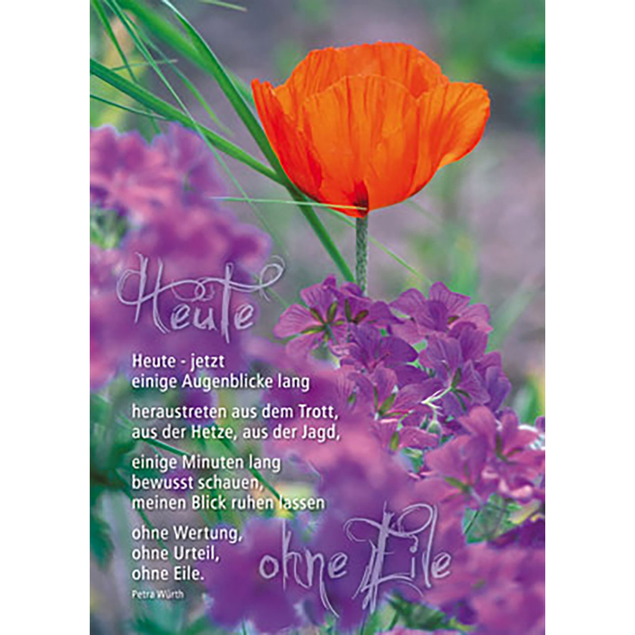 Poster - Heute - ohne Eile - Mohn / Blumen