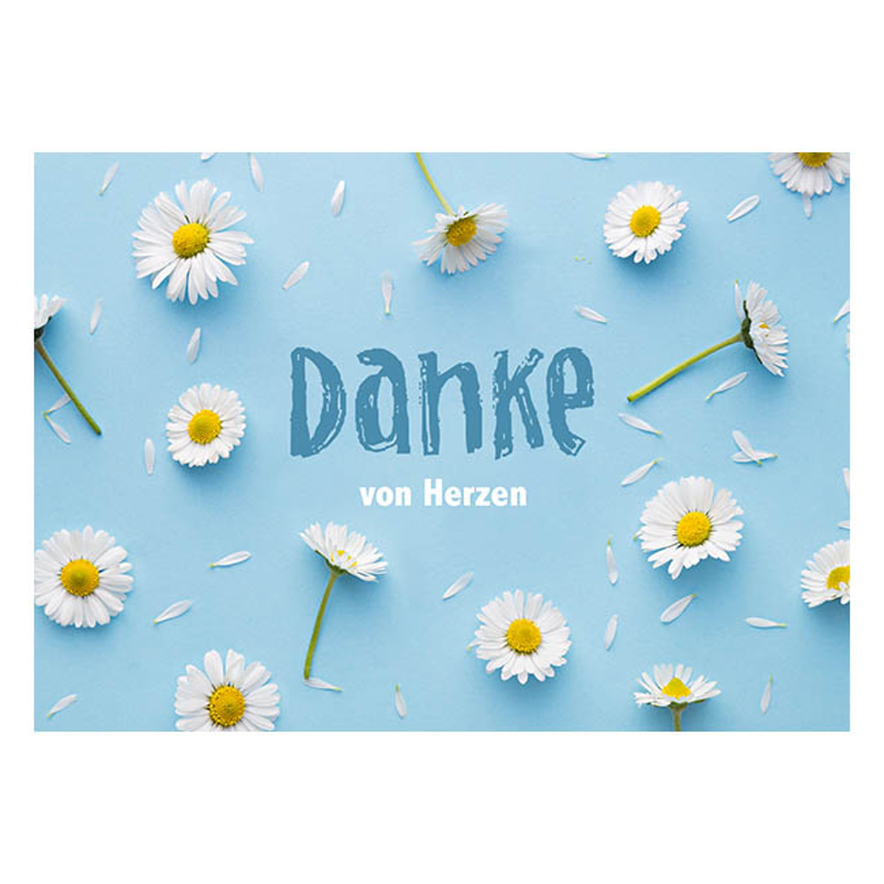 Postkarte - Postkarte 'Danke von Herzen' 1EX - Blumen Blüten Gänseblümchen
