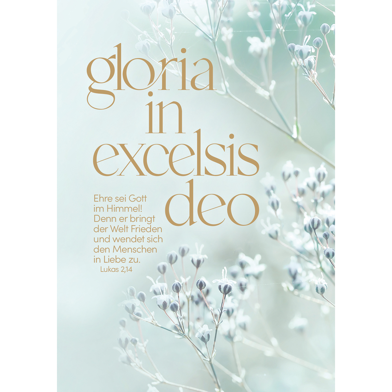 Postkarten - gloria in excelsis deo - weiße Blumen