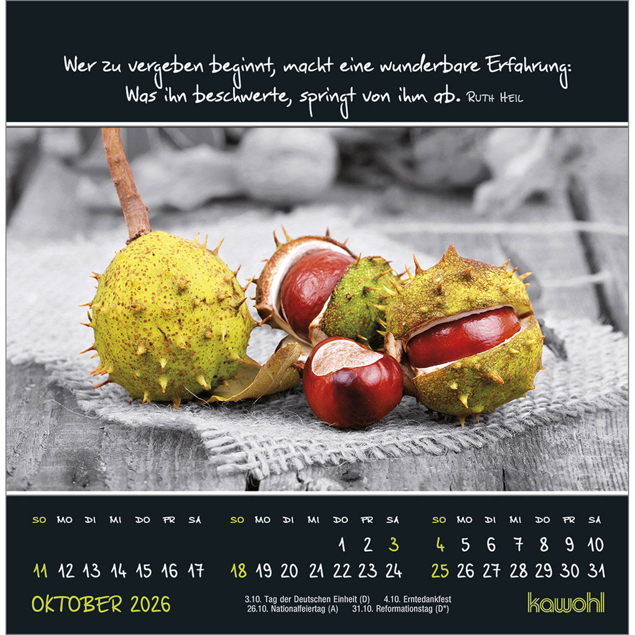 Postkartenkalender - Kleine Wunder sehen 2026