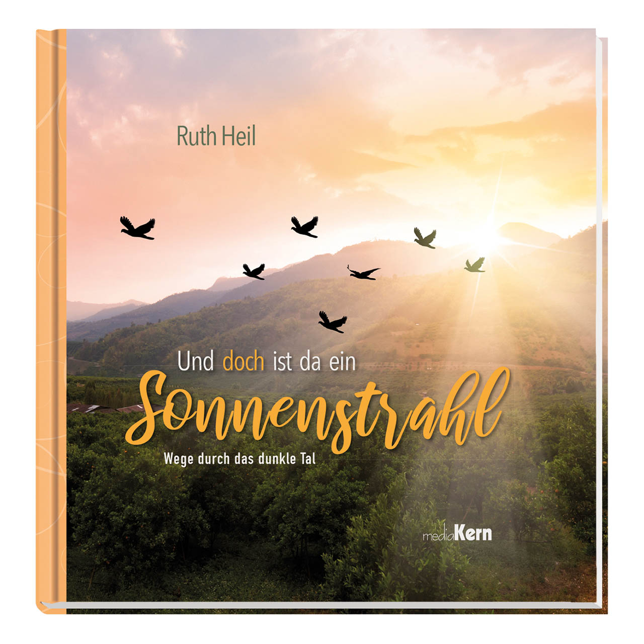 Buch - Und doch ist da ein Sonnenstrahl - Vogelschwarm Berge Sonne
