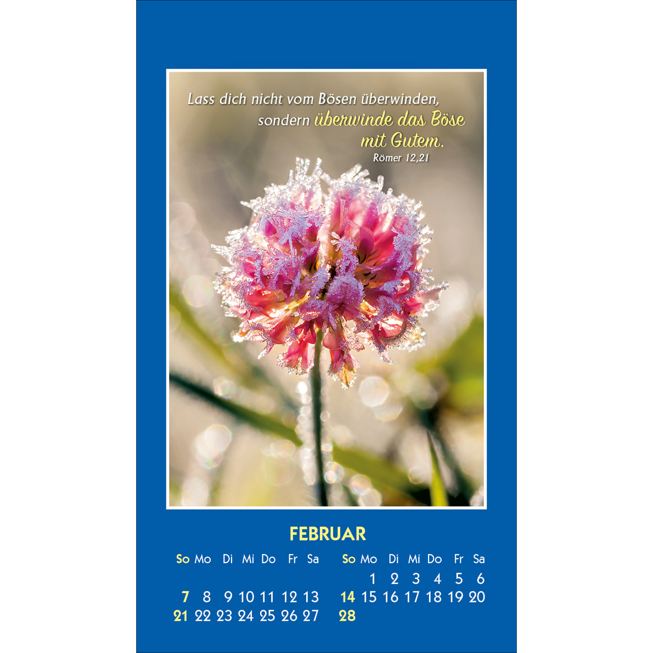 Aufkleberkalender - Gottes Wort - Licht für den Tag 2027