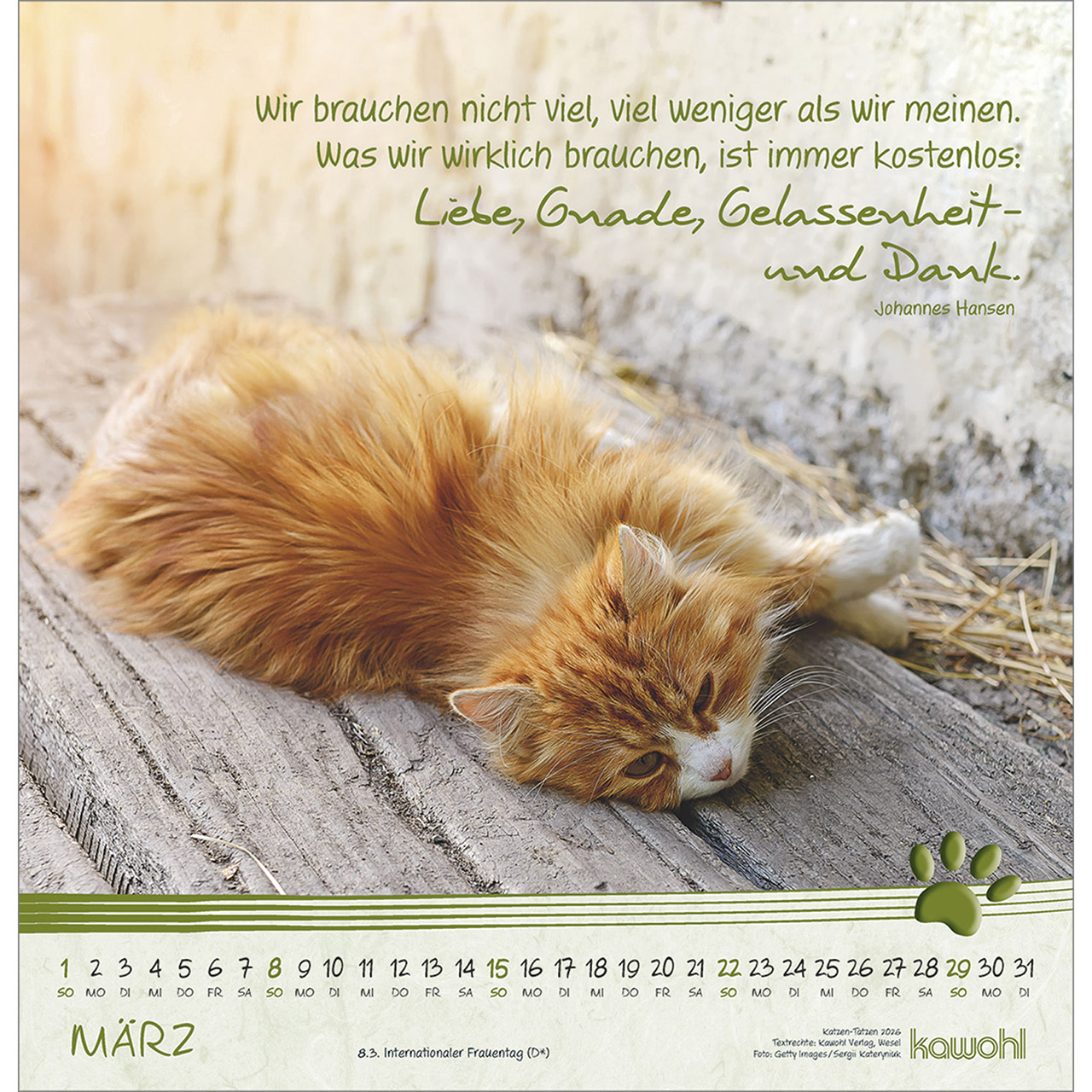 Wandkalender - Katzen-Tatzen 2026