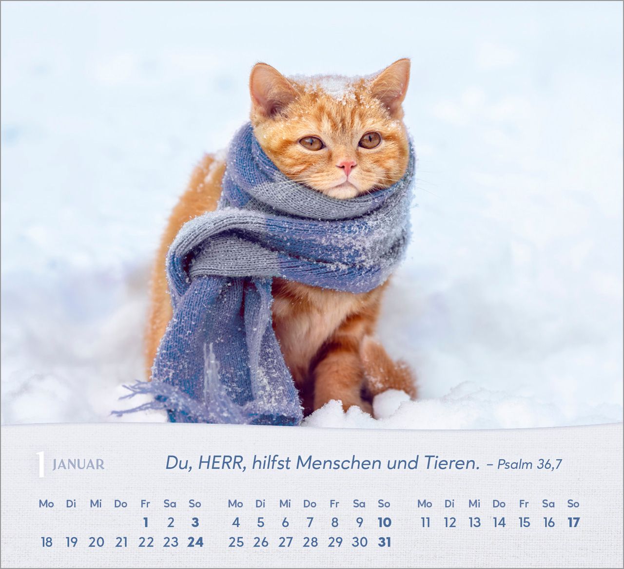 Tischkalender - Katzen 2027