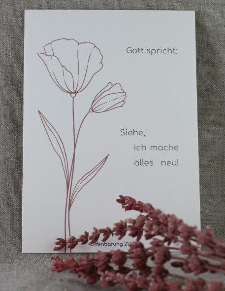 Postkarten - Postkarten-Set Jahreslosung 2026