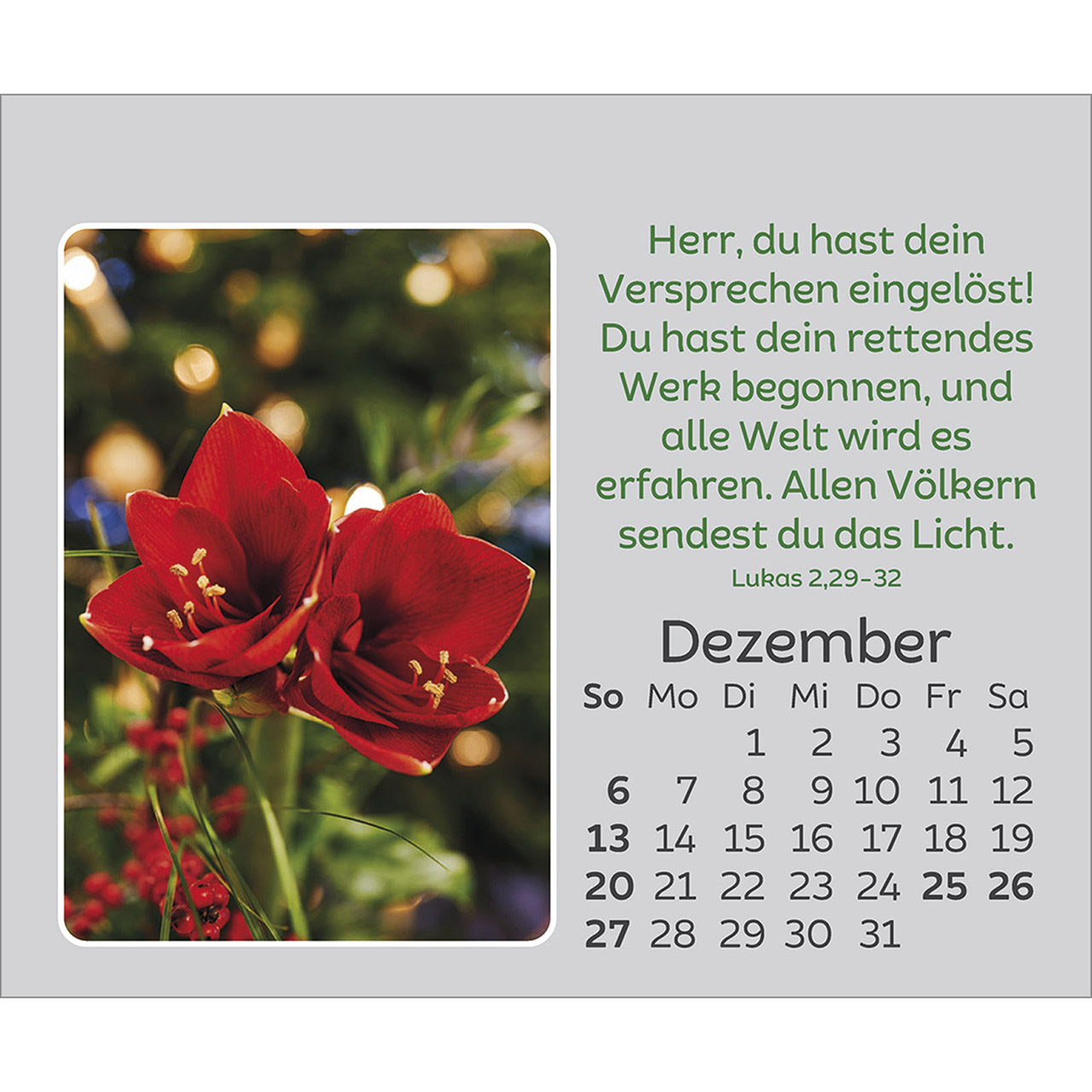 Tischkalender - Freude für jeden Tag 2026