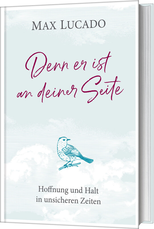 Buch - Denn er ist an deiner Seite - Vogel