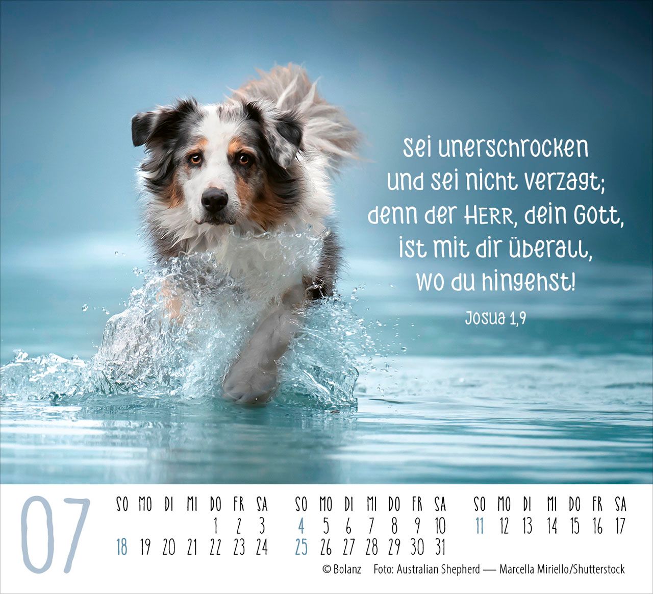 Aufstellkalender - Hunde 2027