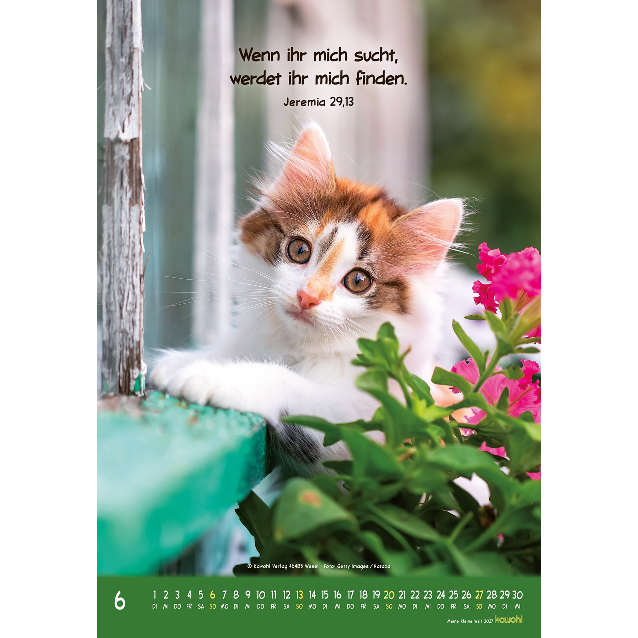 Wandkalender - Meine kleine Welt 2027