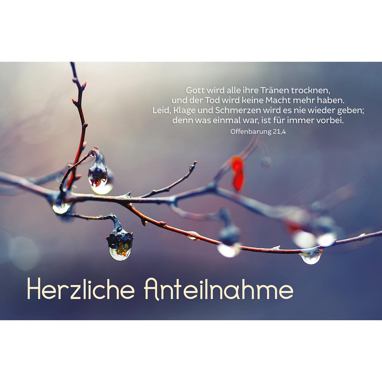 Faltkarte - Herzliche Anteilnahme - Ast Tropfen