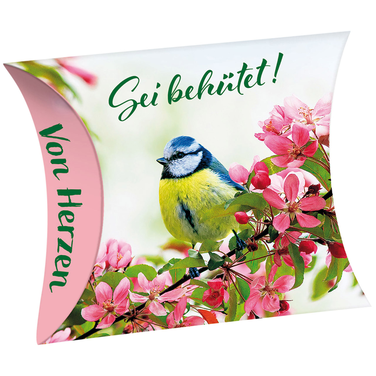 Sei behütet