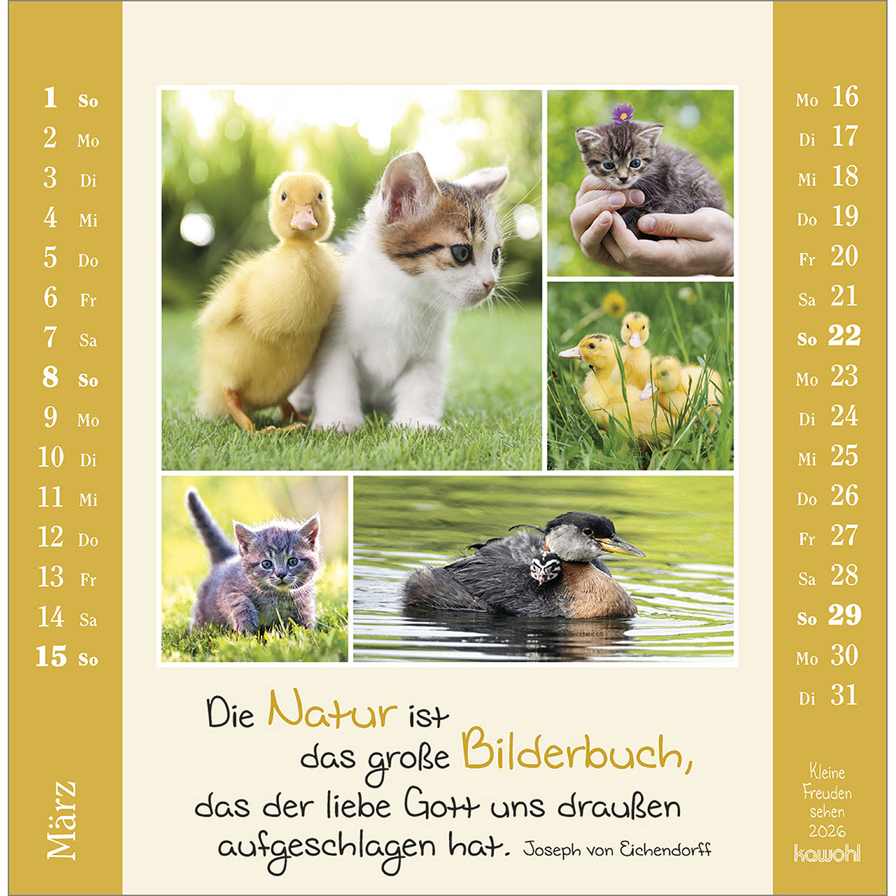 Postkartenkalender - Kleine Freuden sehen 2026