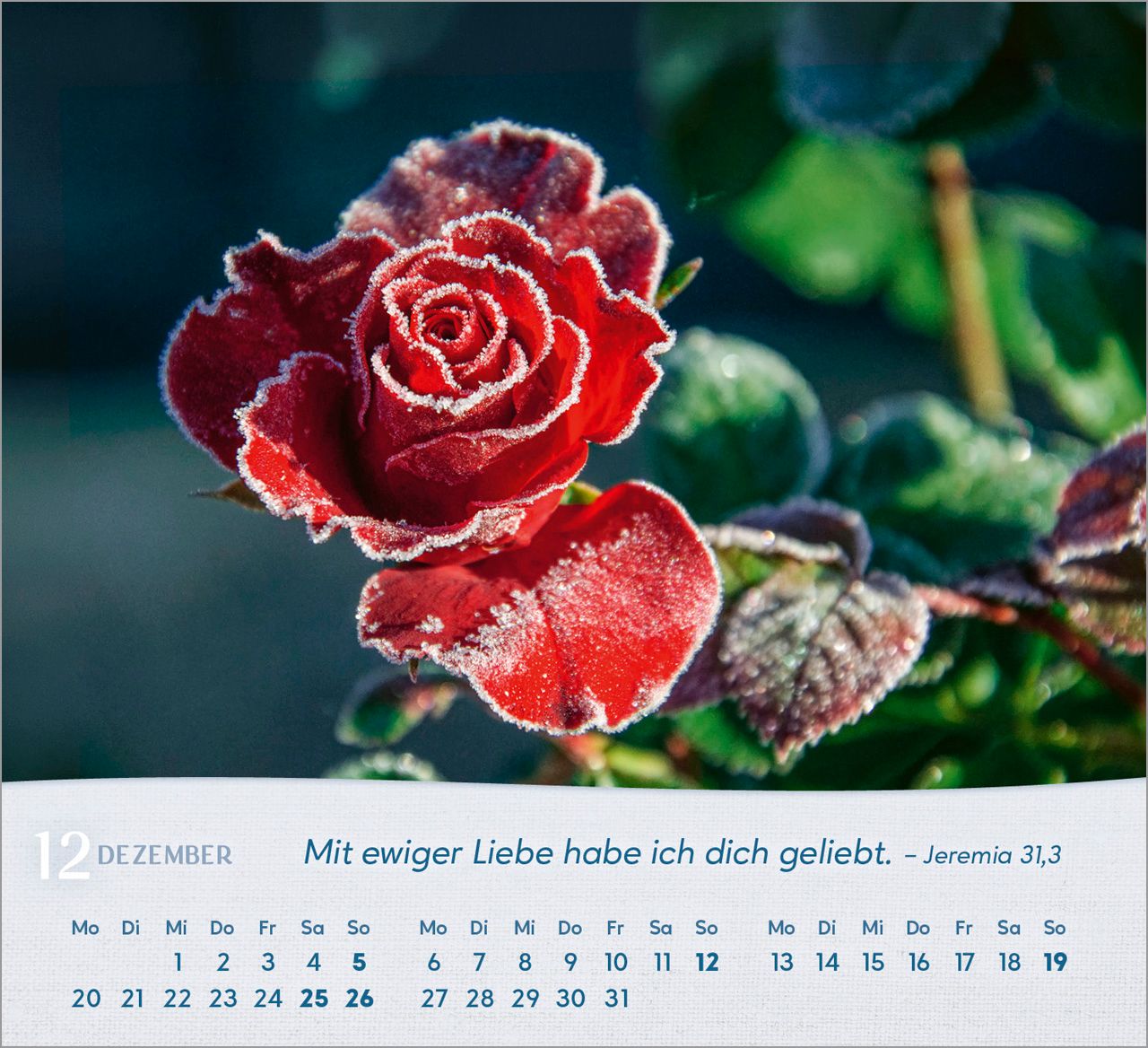 Tischkalender - Rosen 2027