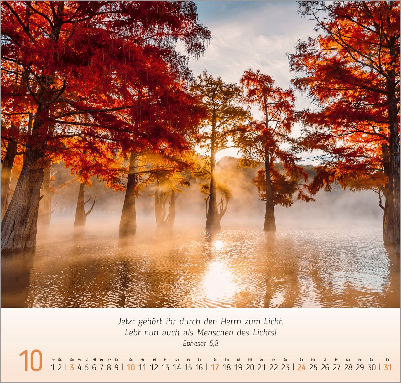 Wandkalender - Licht-Impressionen 2027 Wandkalender