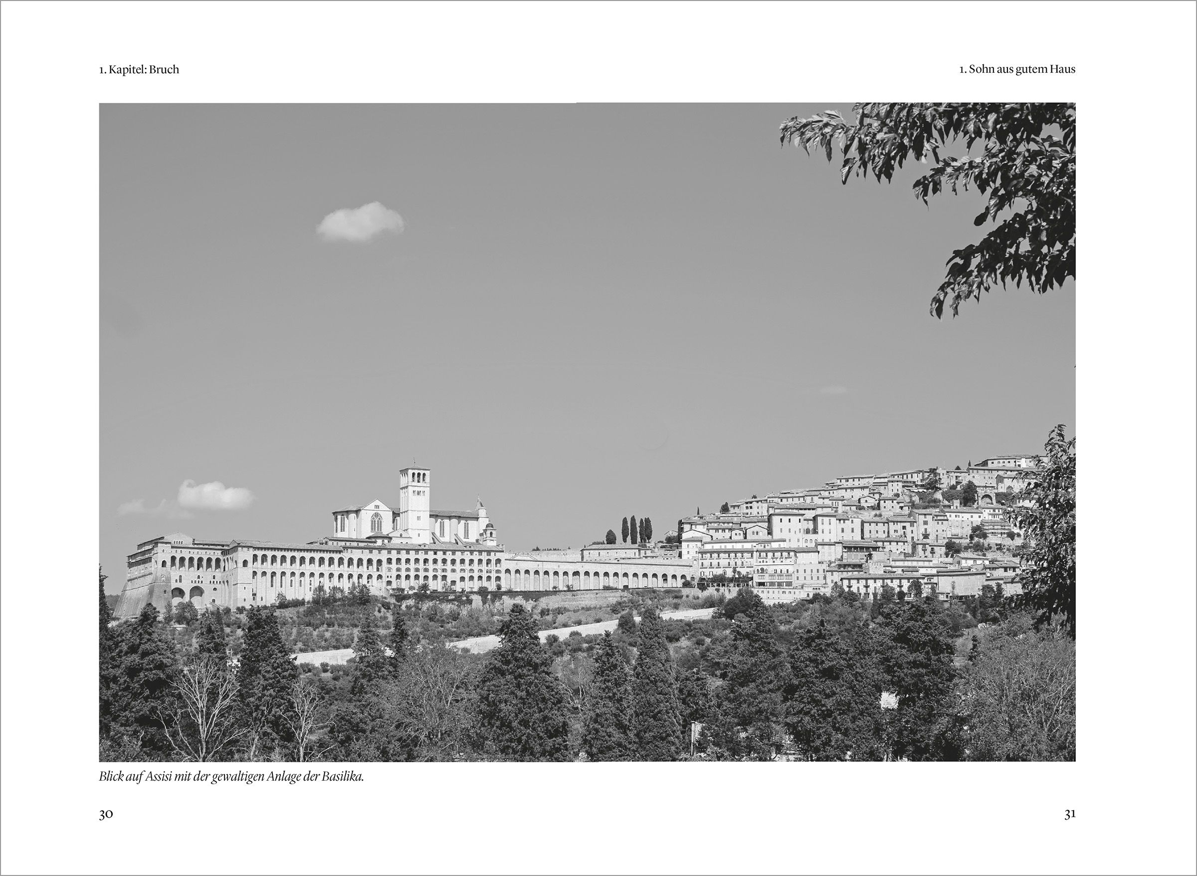 Buch - Franz von Assisi