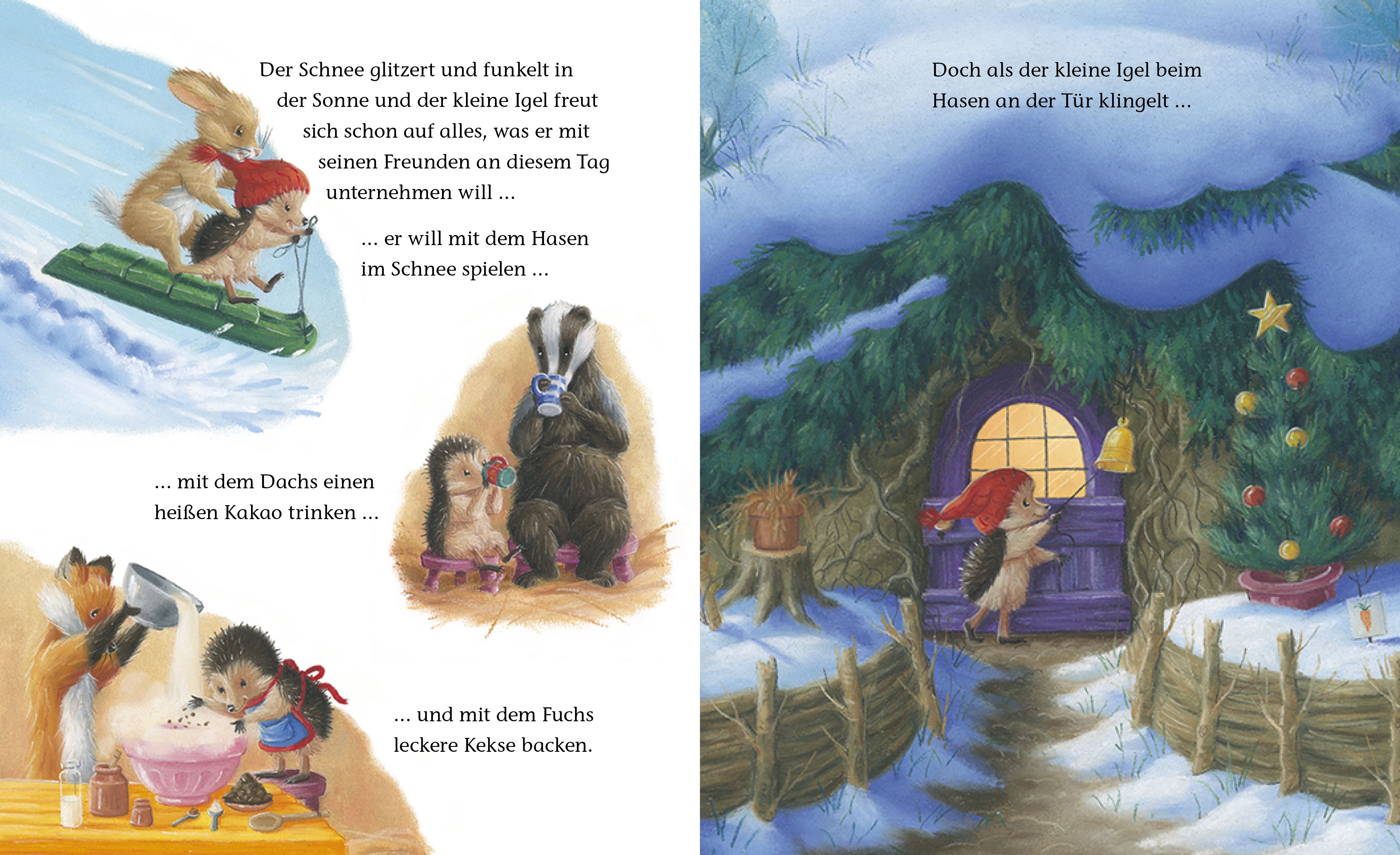 Buch - Der kleine Igel und der turbulente Weihnachtstag