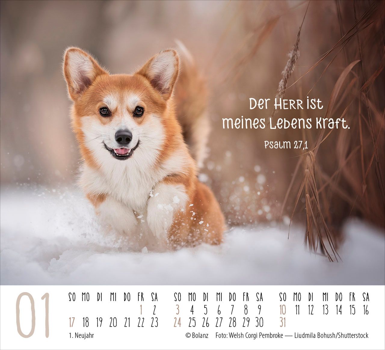 Aufstellkalender - Hunde 2027