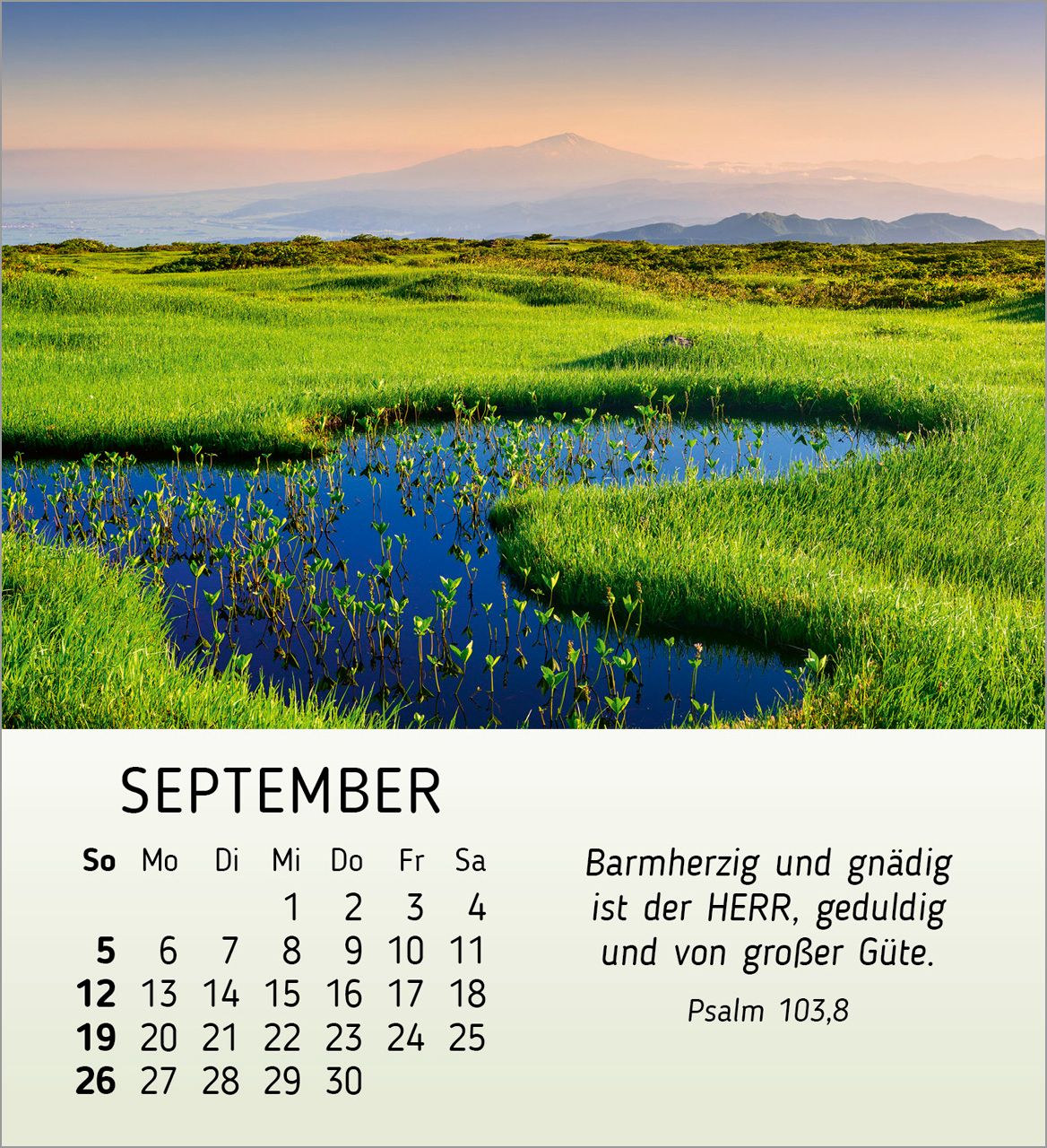 Tischkalender - Schönheit des Lichts 2027