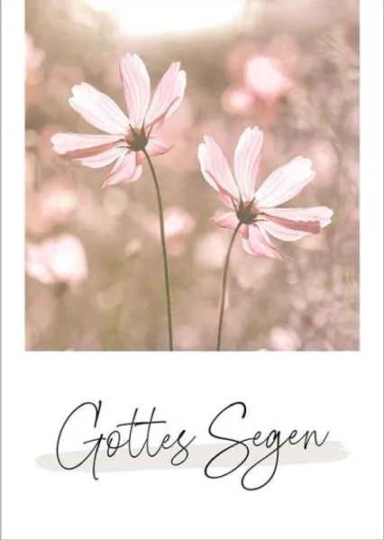 Postkarten - Unendlich geliebt - Box Vase Gräser Blumen