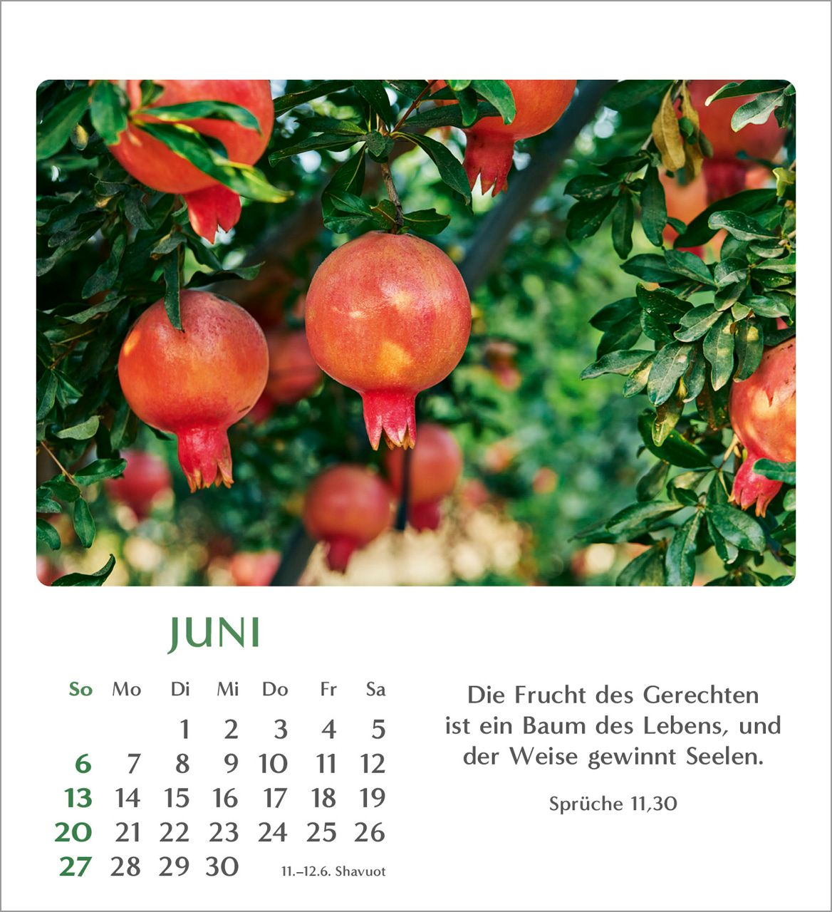 Tischkalender - Geliebtes Israel 2027