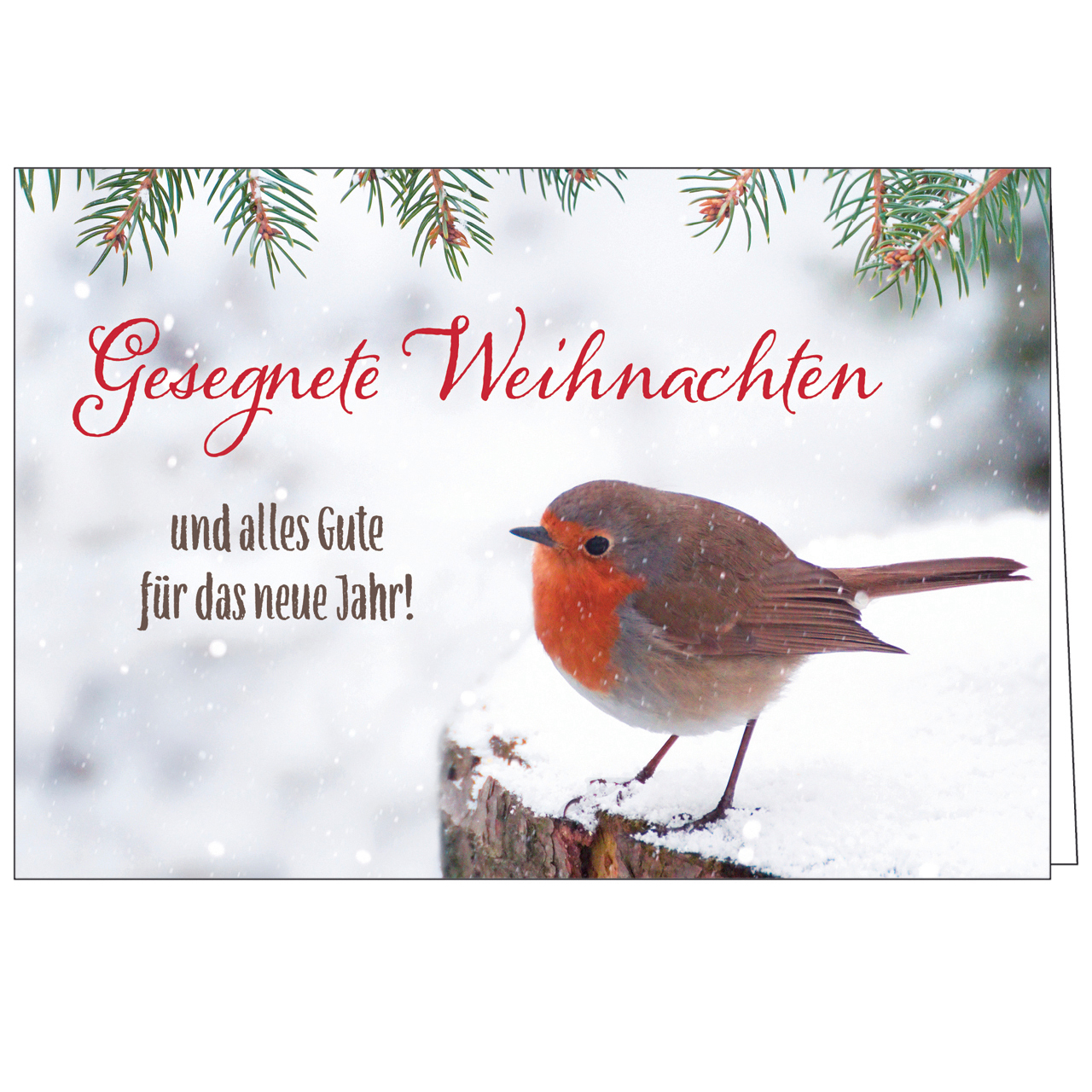 Faltkarte - Gesegnete Weihnachten - Rotkehlchen Schnee Zweige Baumstamm