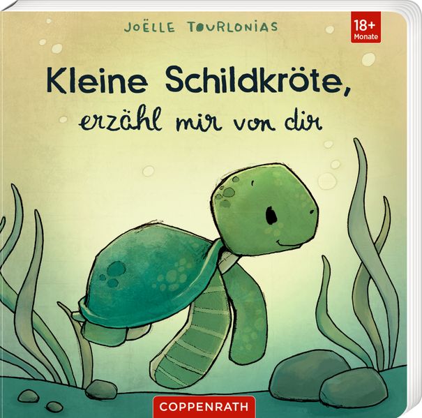 Buch - Kleine Schildkröte, erzähl mir von dir