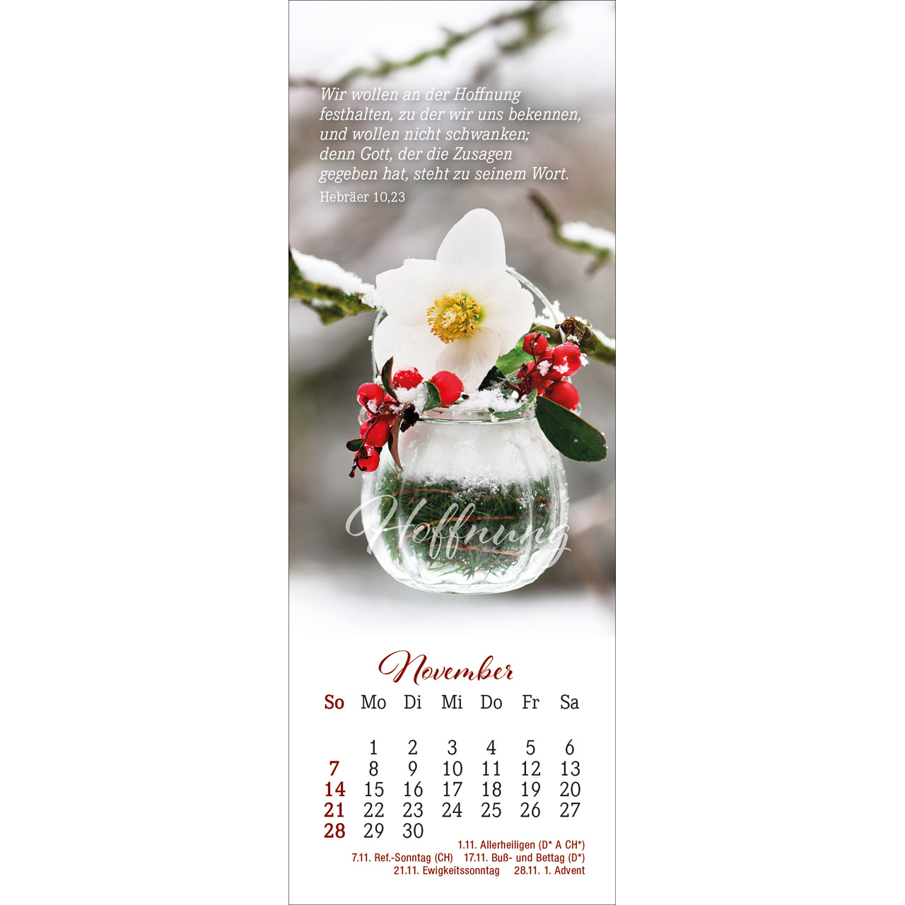 Lesezeichenkalender - Den Augenblick genießen 2027