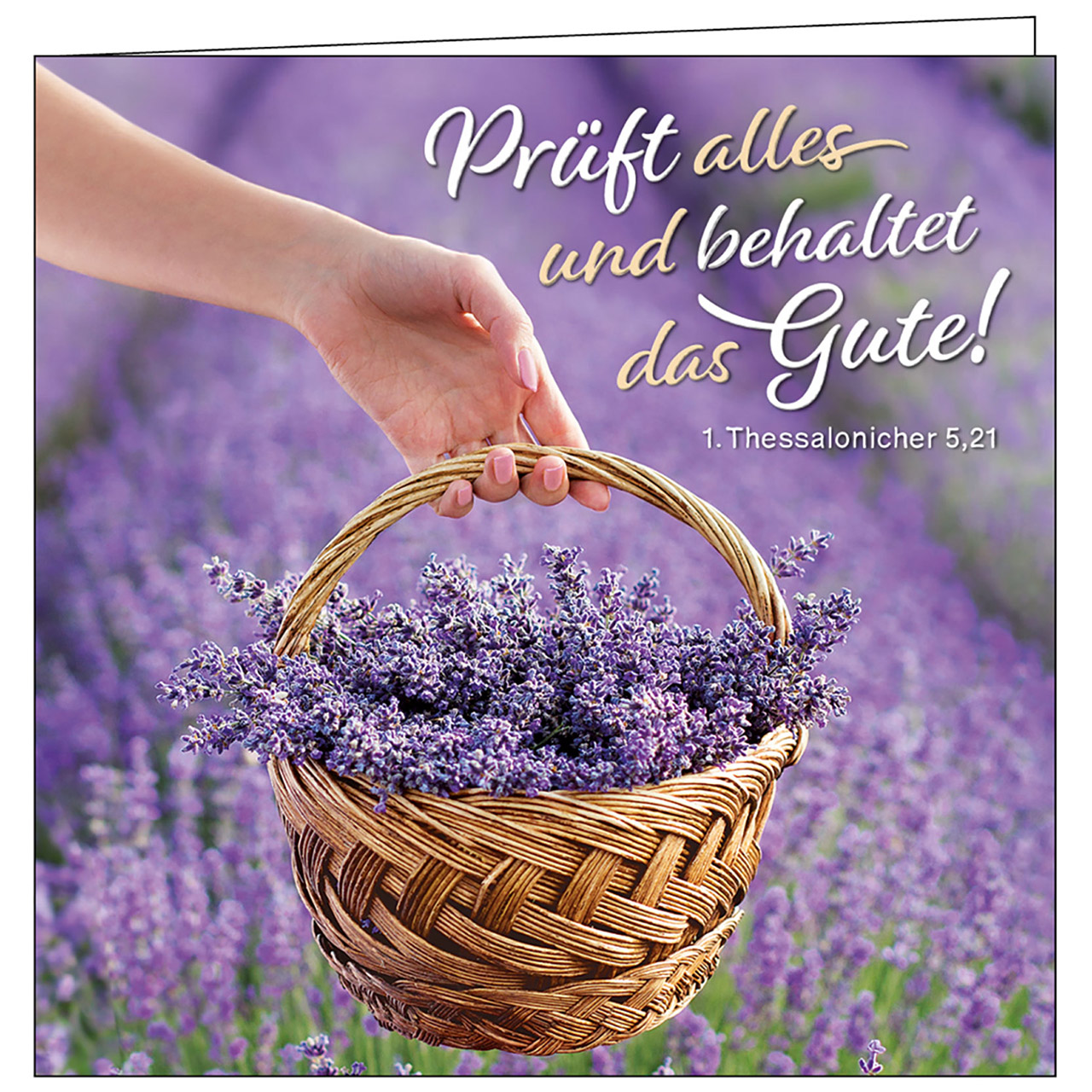 Teelicht mit Grußkarte - Prüft alles und behaltet das Gute! - Lavendelkorb Lavendel Hand Feld